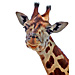 Medium Giraffe Head Graphic