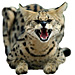 Large Serval Graphic